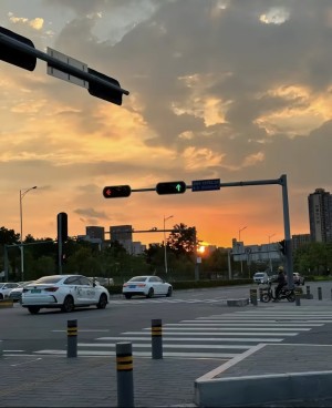 山野