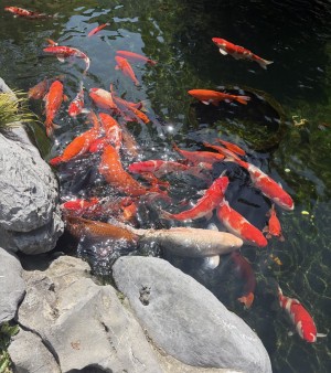 山河