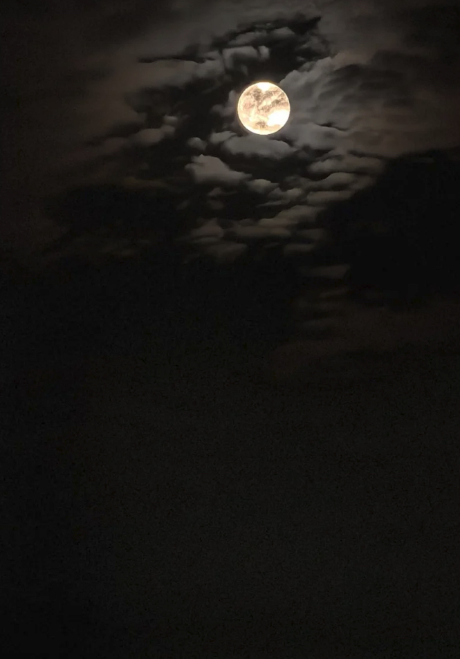 眺望夜空，忽感自身渺小脆弱