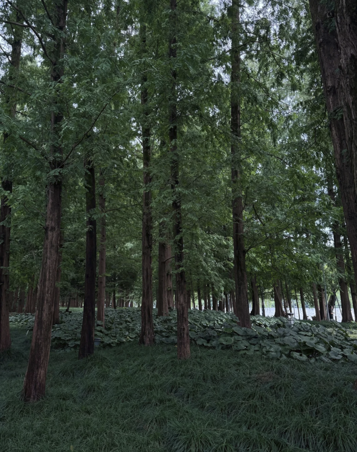 去看那些属于自己的风景