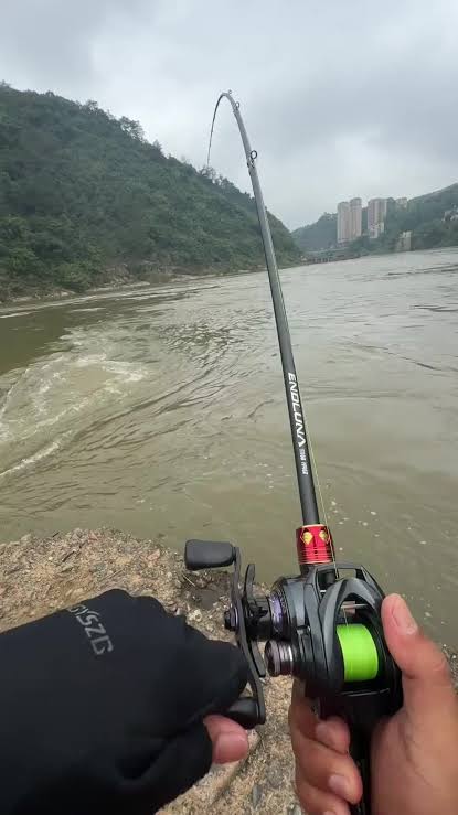 生活