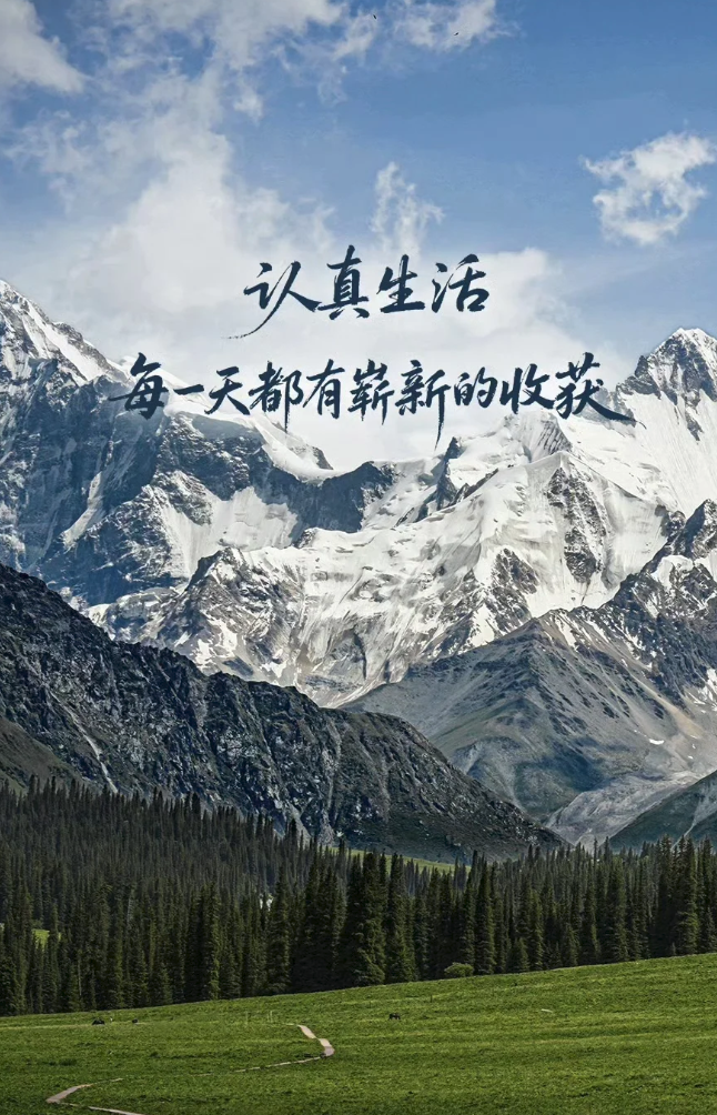 认真生活，每一天都有崭新的收获