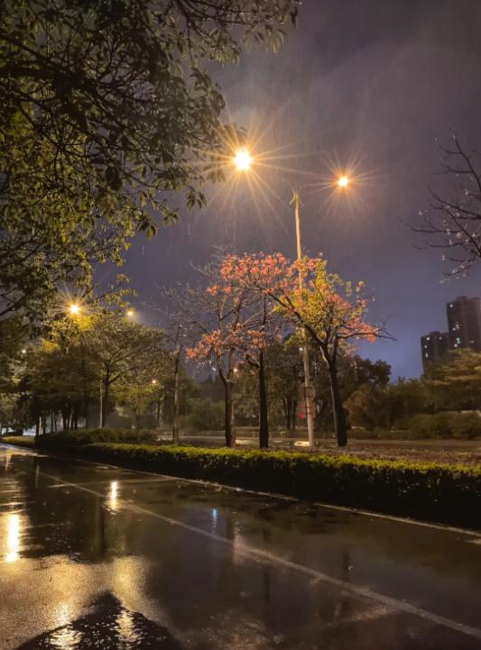 雨后的夜晚#