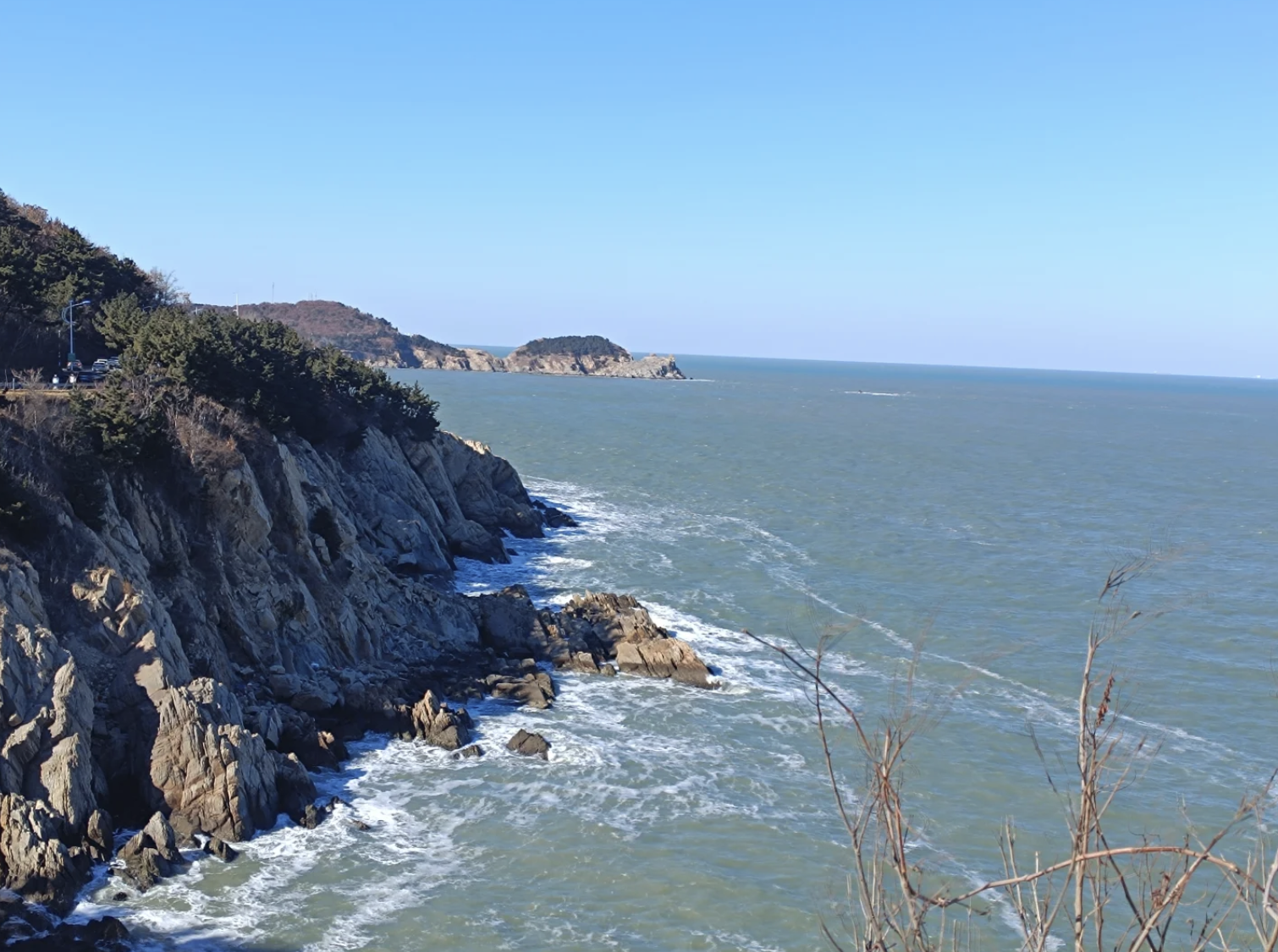 浪漫自由风打卡