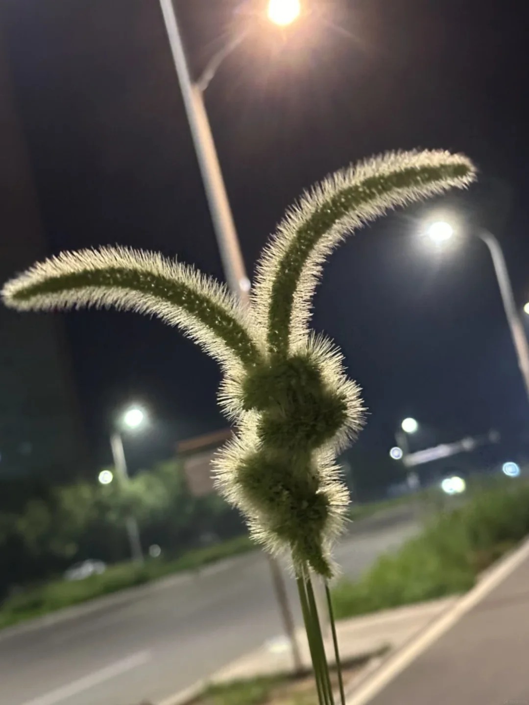 岁月会告诉我们，什么才是真正重要的