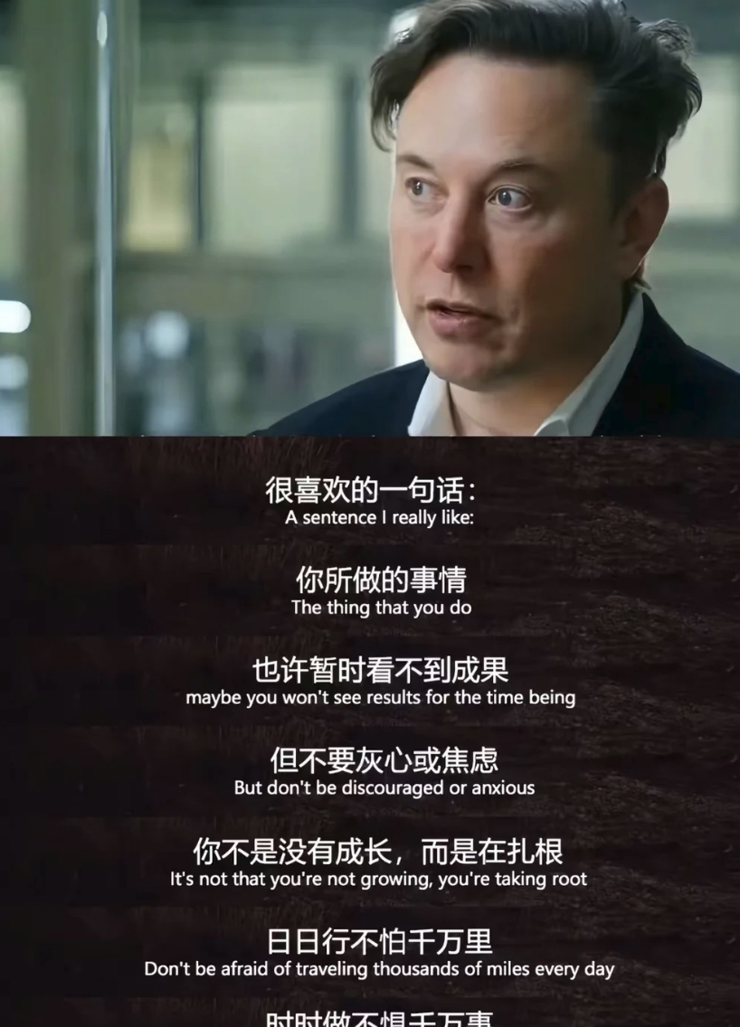 别急着要结果，你只是在扎根，沉下心慢慢打磨，当下所有无声的付出，终有一天会开花结果。