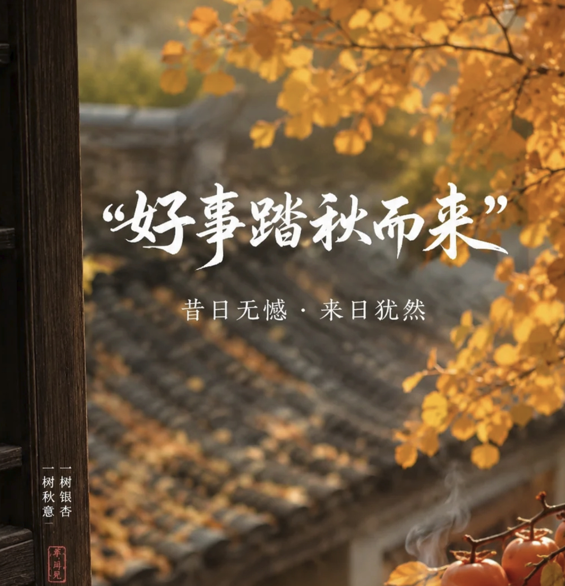 有期待，有收获，有不期而遇的欢喜。