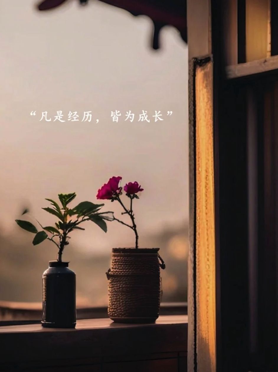 经历与成长
