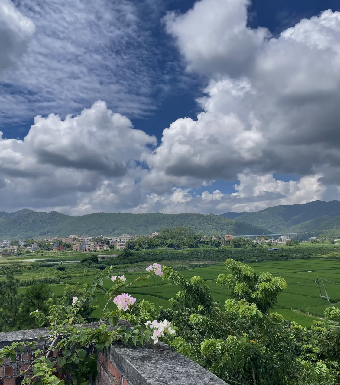 老家的日子，饭是家常，景是治愈