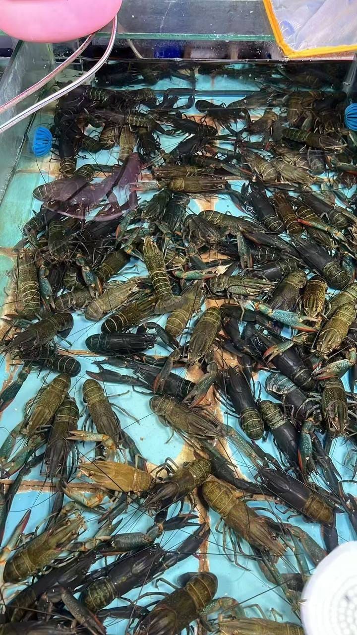 海鲜走起，今晚改善一下伙食！